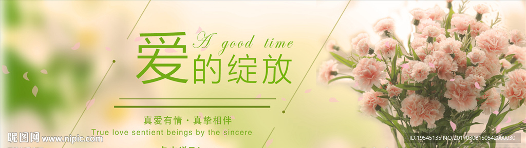 康乃馨鲜花首页