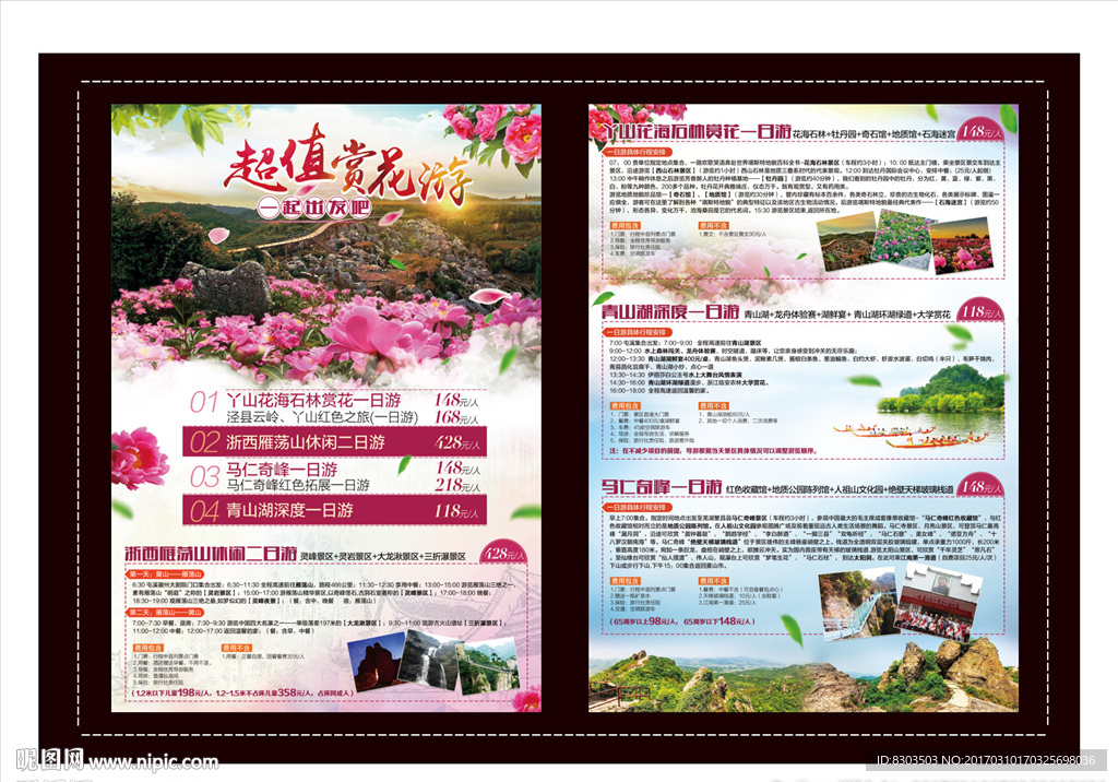 踏春超值赏花之旅