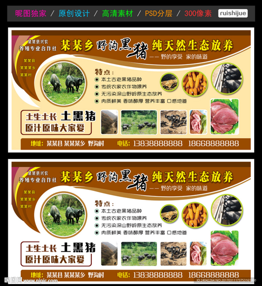 野沟黑猪肉 展板2
