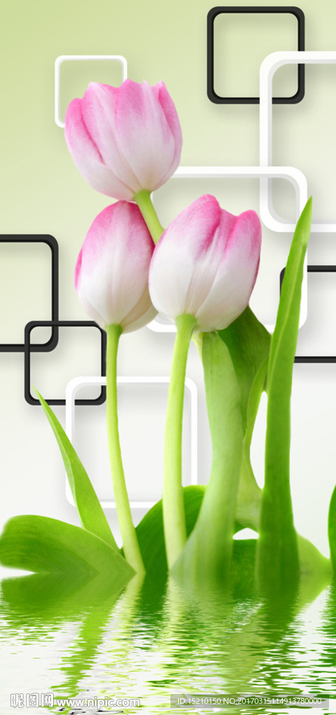 3D郁金香倒影