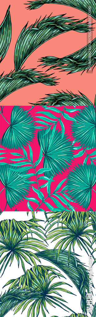 手绘热带植物花朵