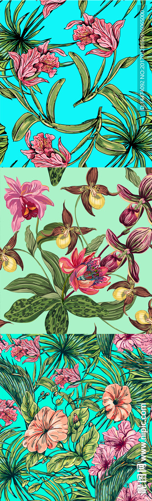 手绘热带植物花朵