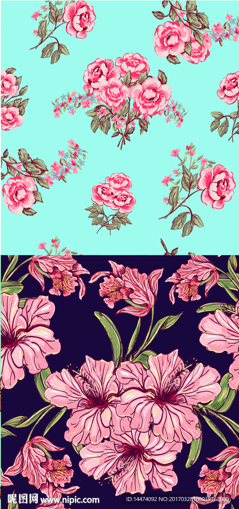 手绘热带植物花朵