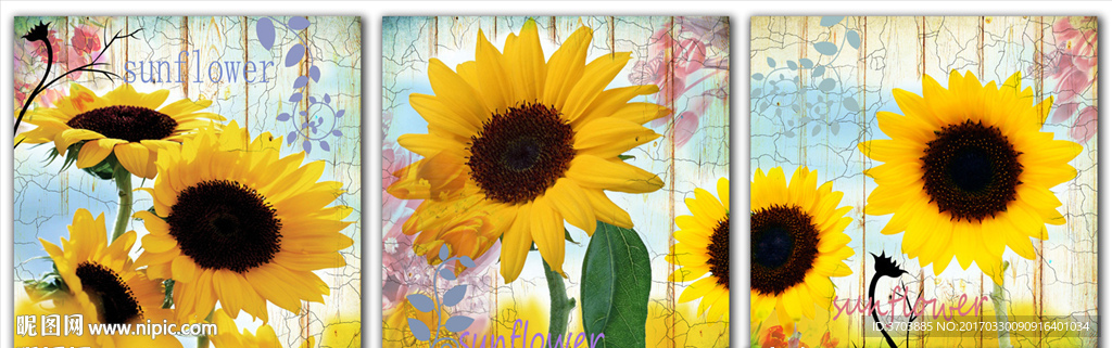 向日葵无框画