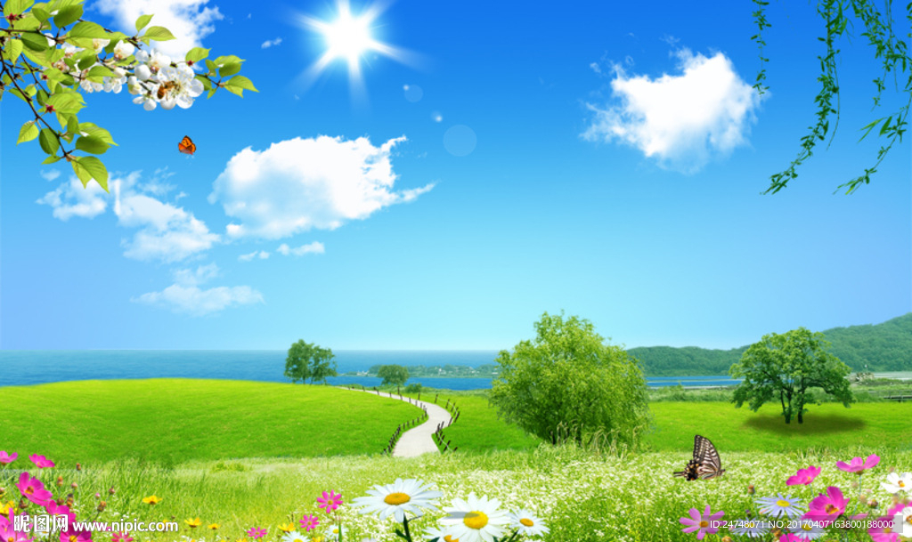 唯美春天风景草地小路蓝天白云