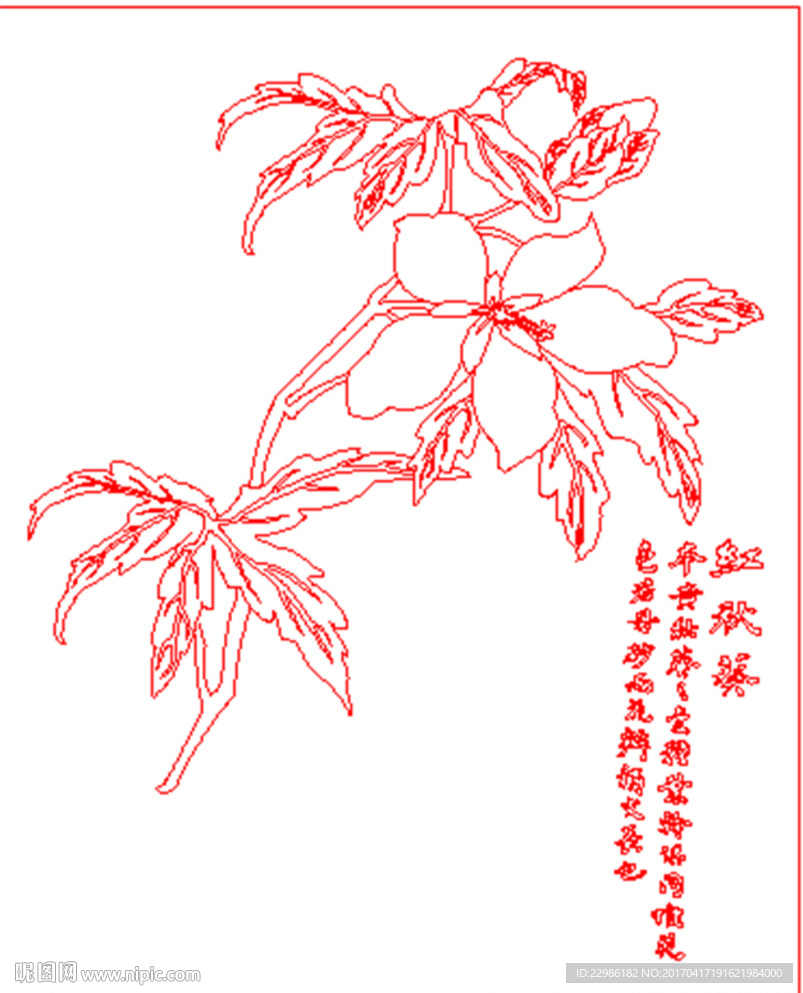 玉兰花鸟矢量线条图