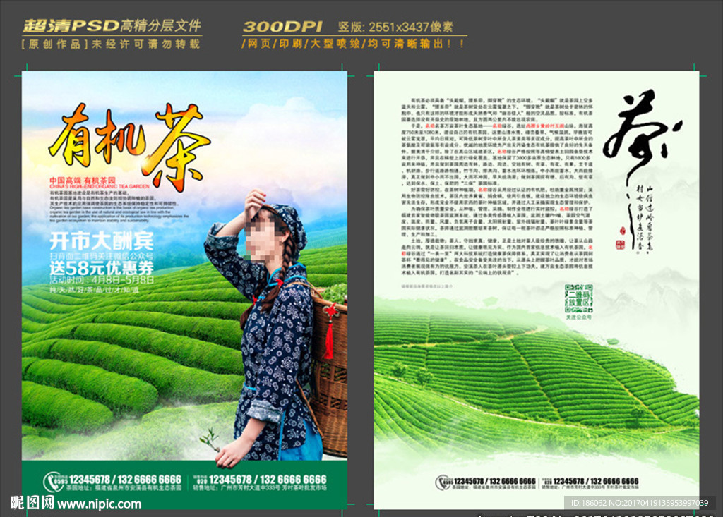 有机茶园 客家采茶妹