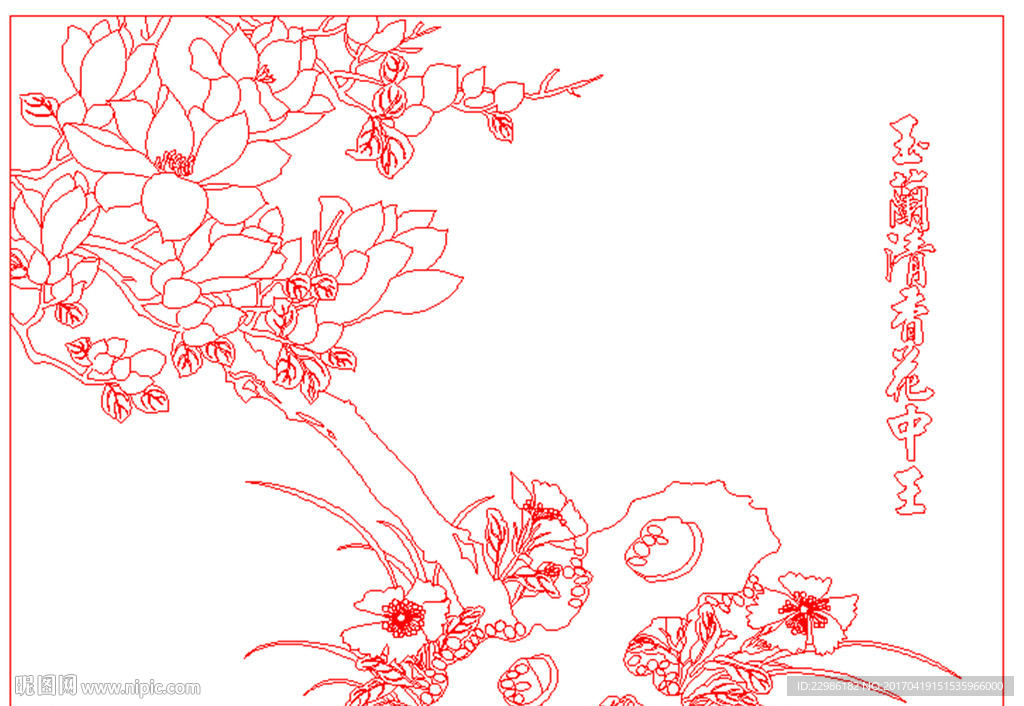 玉兰花鸟矢量线条图