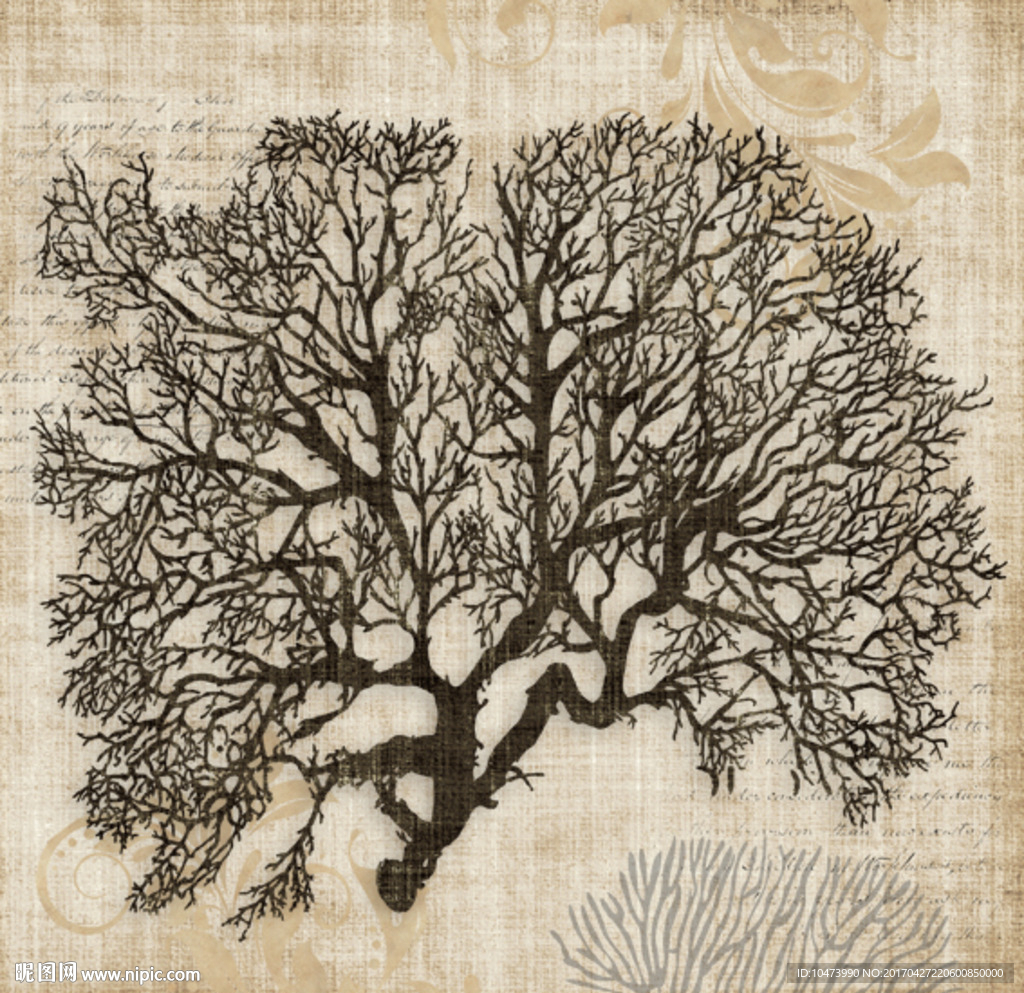 珊瑚欧美装饰画