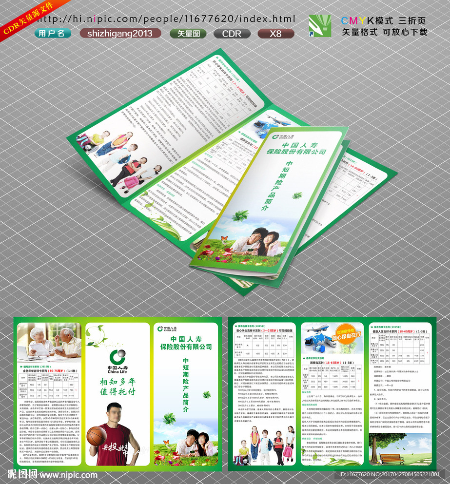 中国人寿短期险三折页