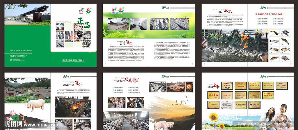 养殖公司宣传册