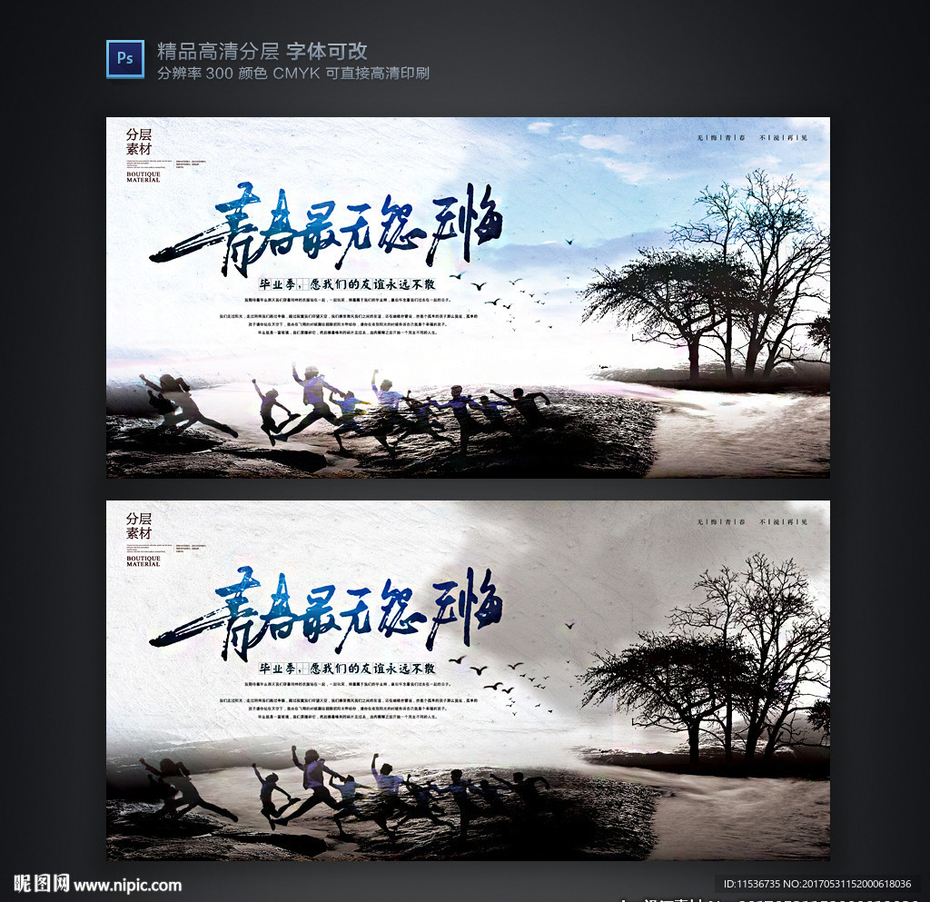 中国风青春毕业学校展板海报