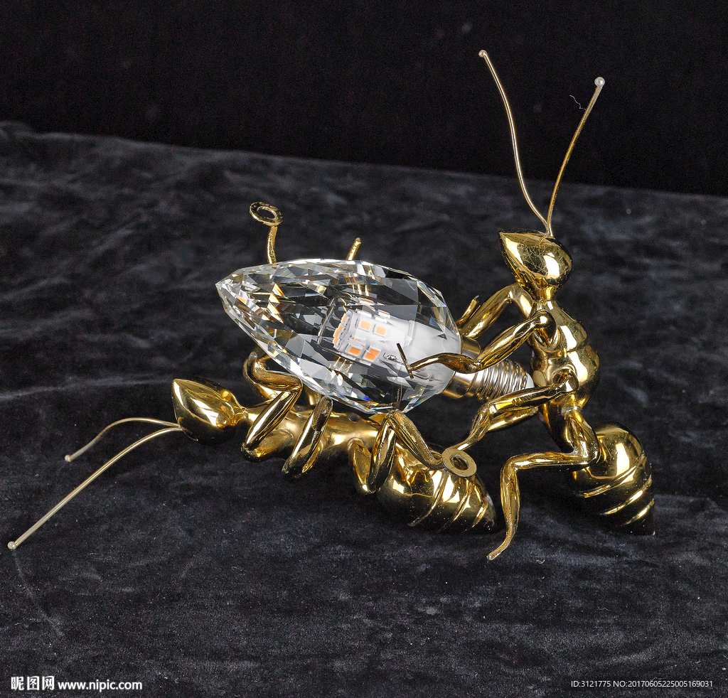 水晶灯泡蚂蚁