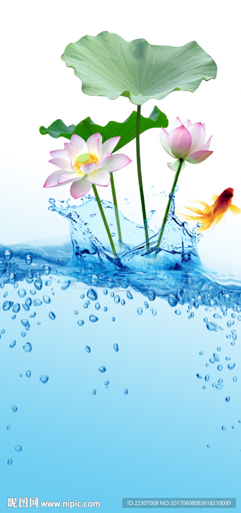 荷花玄关背景墙