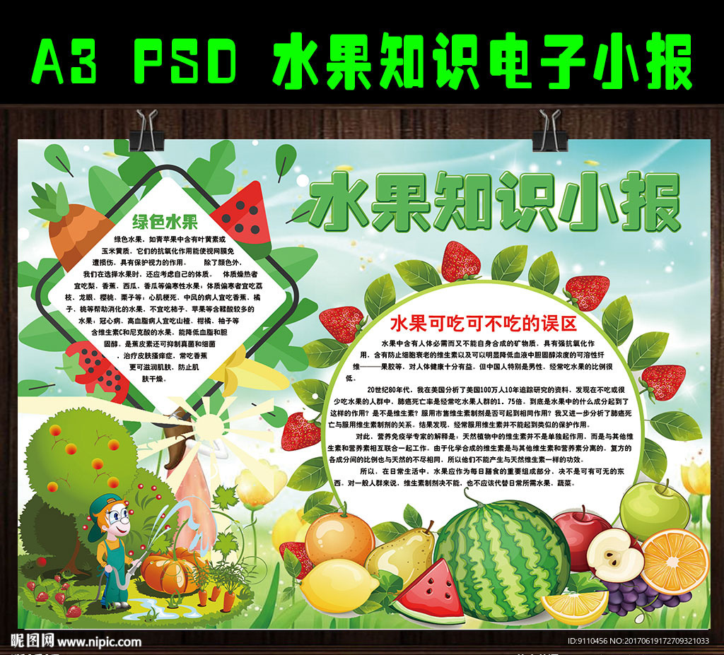 水果知识电子手抄小报