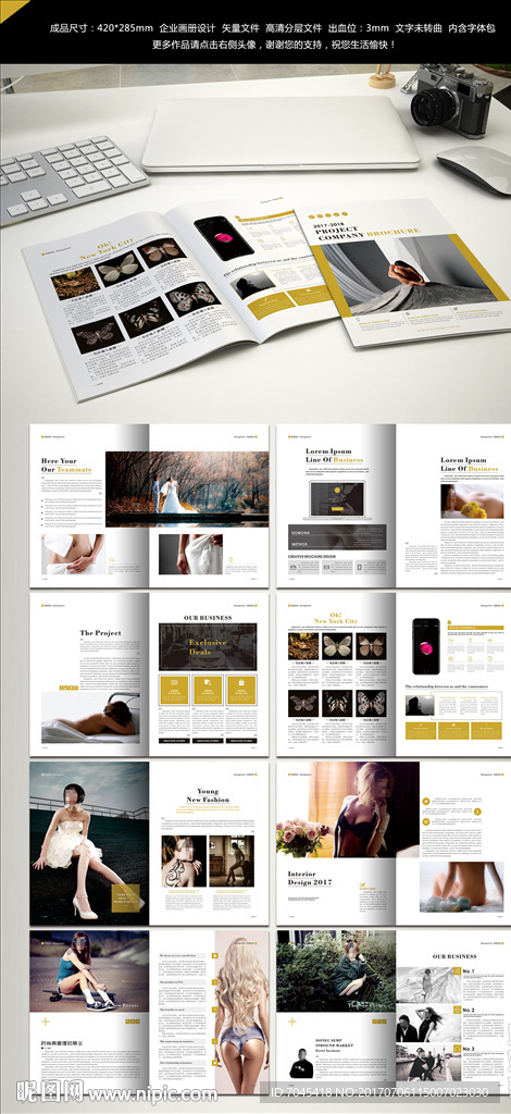 企业画册图片