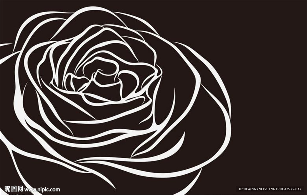 玫瑰花朵背景图