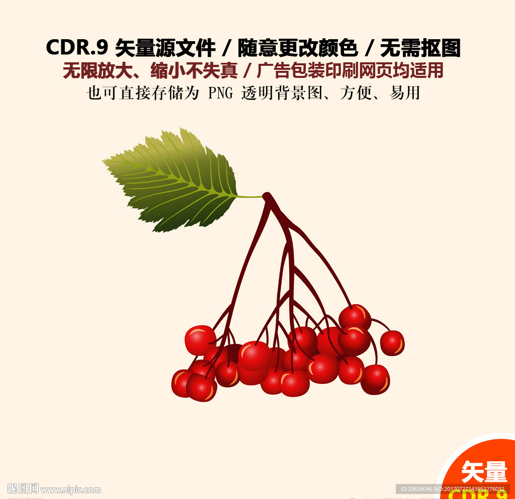 红色卡通树叶果子樱桃矢量图