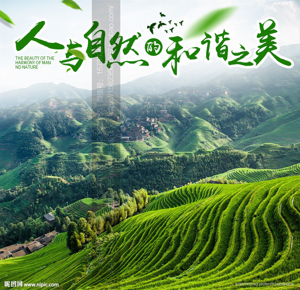 312主图龙脊山游设计描述