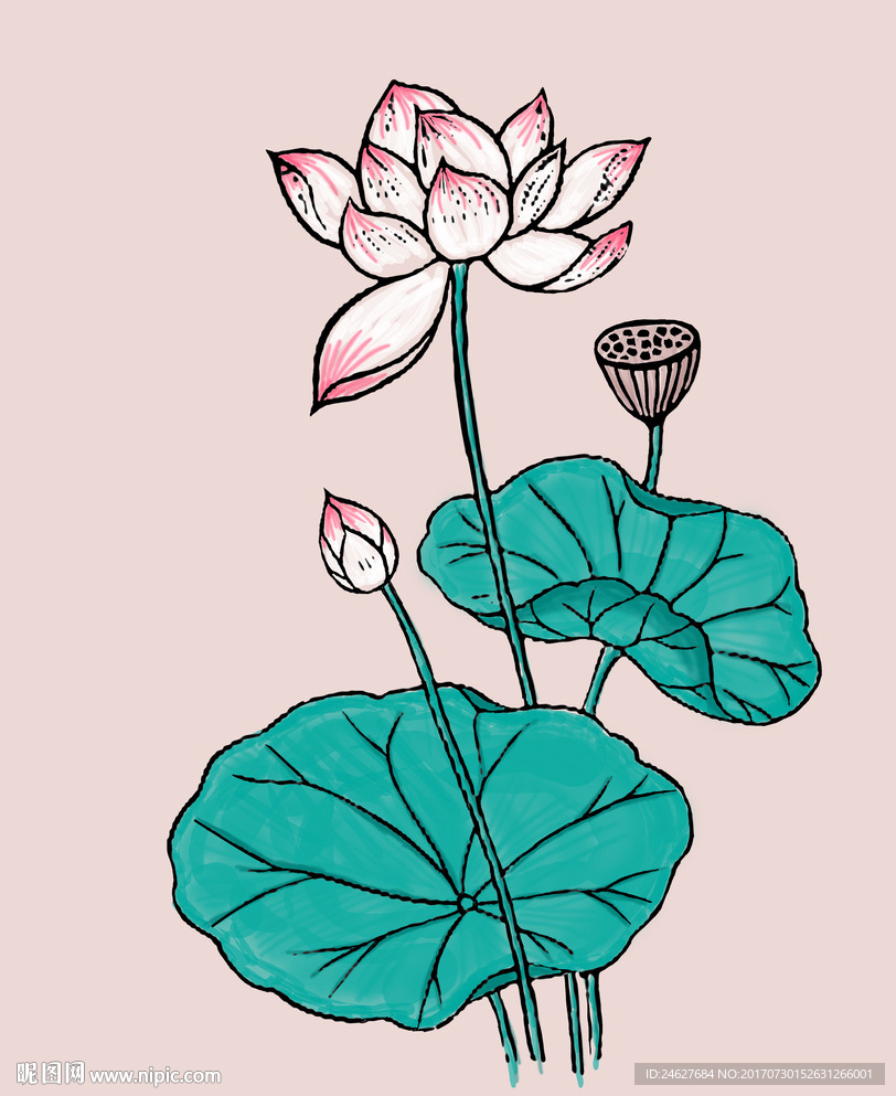 荷花莲子手绘无框画