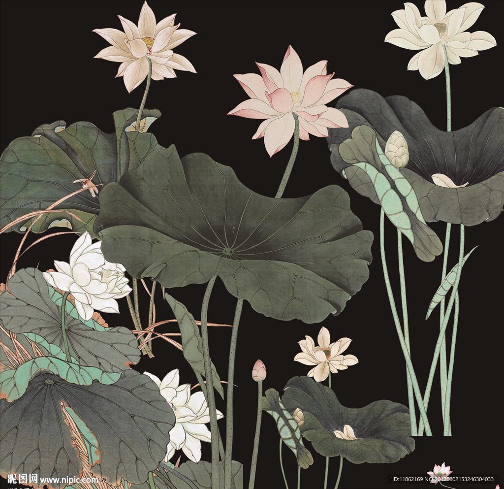 水墨荷花荷叶超清多种分层素材