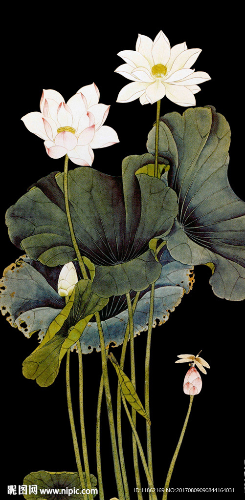 水墨荷花高清分层带原画