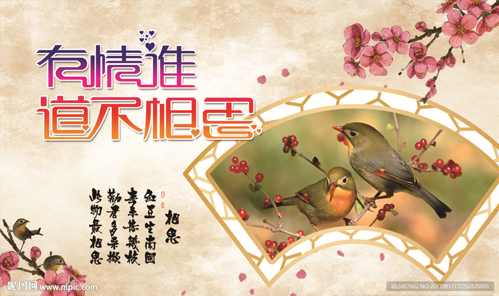 相思鸟贺卡明信片