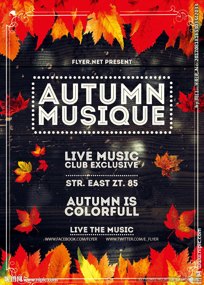 秋季绚丽树叶背景