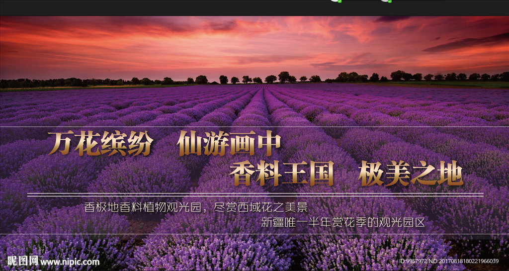 43线下海报花海景区设计描述