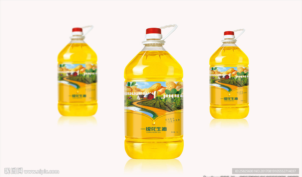 创意花生油包装平面图