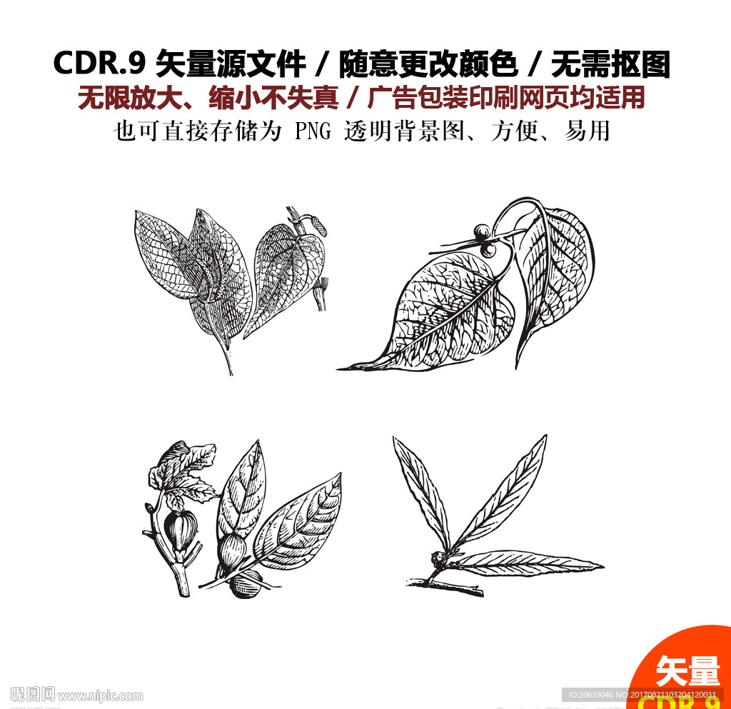 彩色卡通树叶果子矢量图