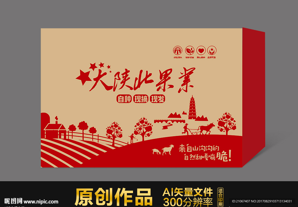 苹果包装平面图