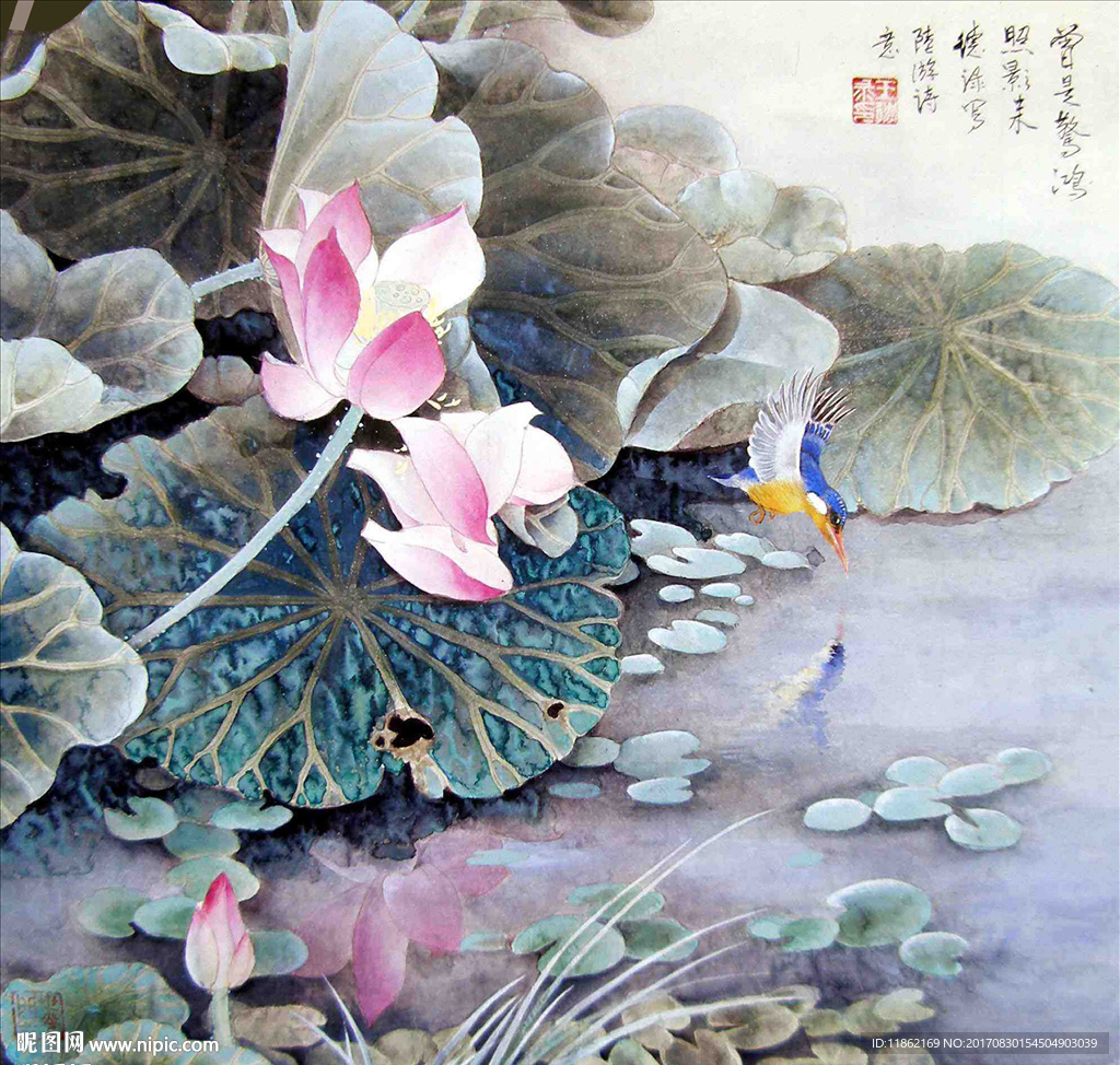荷花翠鸟画高清分层带原图