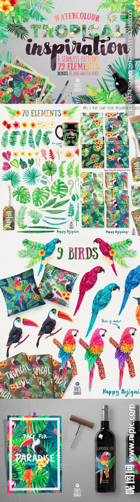 手绘水彩风热带鹦鹉棕榈叶