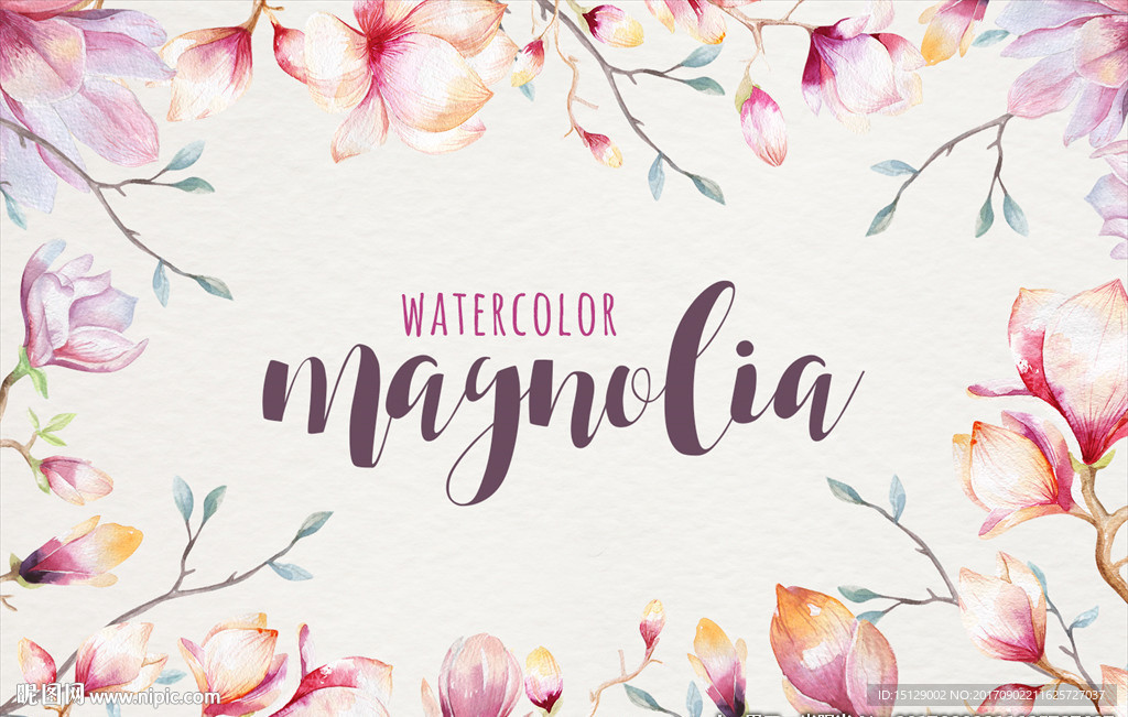 手绘粉色玉兰花木兰花水彩画