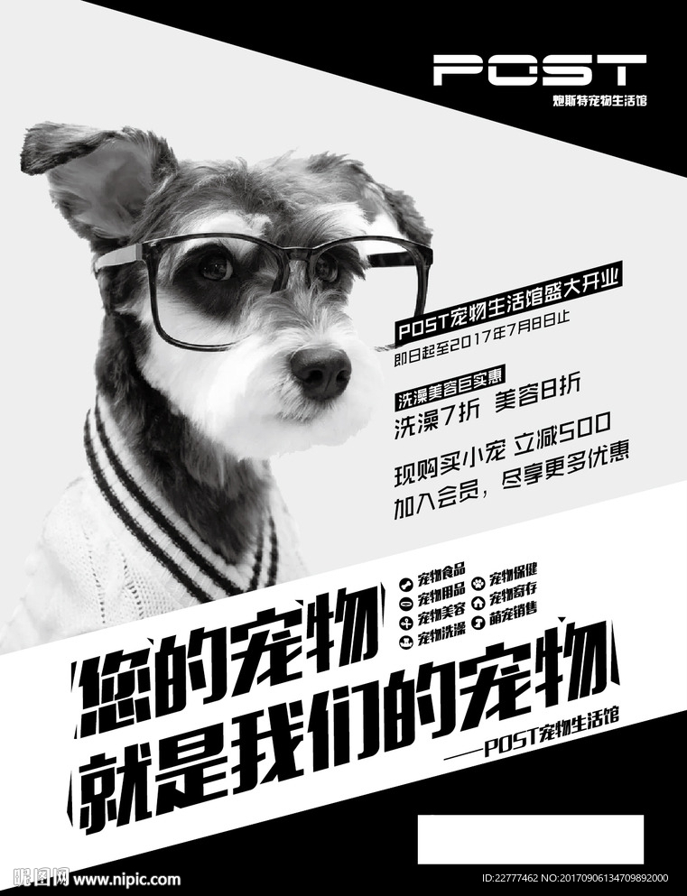 宠物店宣传海报
