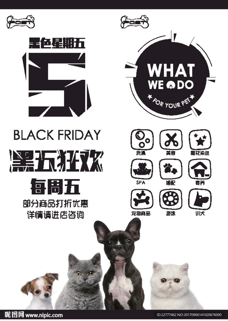 黑色星期五宠物店活动介绍写真布
