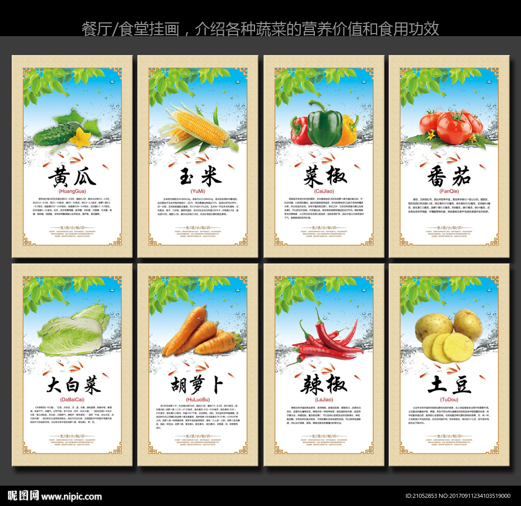 蔬菜营养价值介绍展板