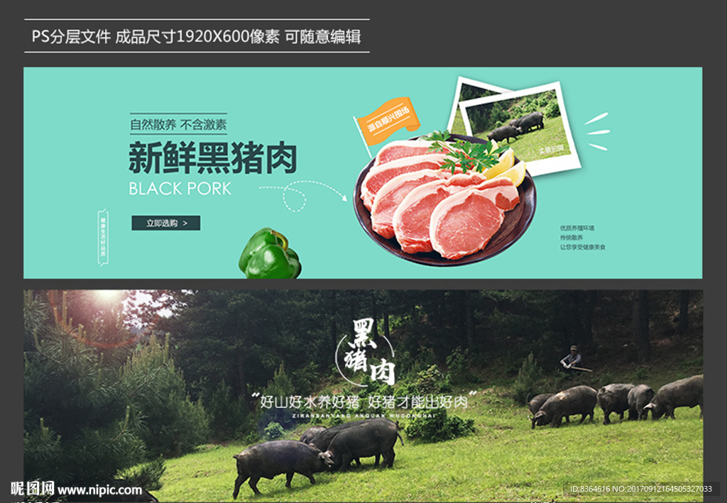 黑猪肉海报轮播