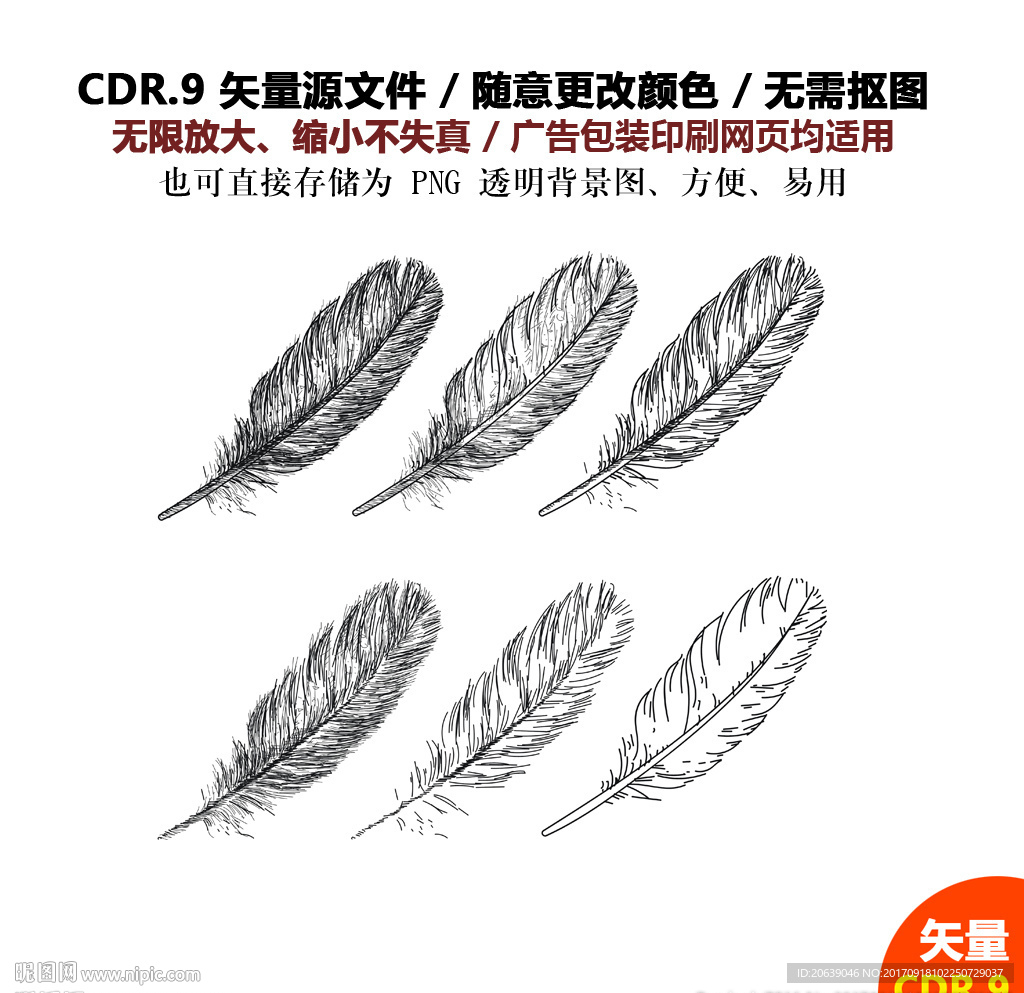 手绘羽毛素材鸡毛矢量图