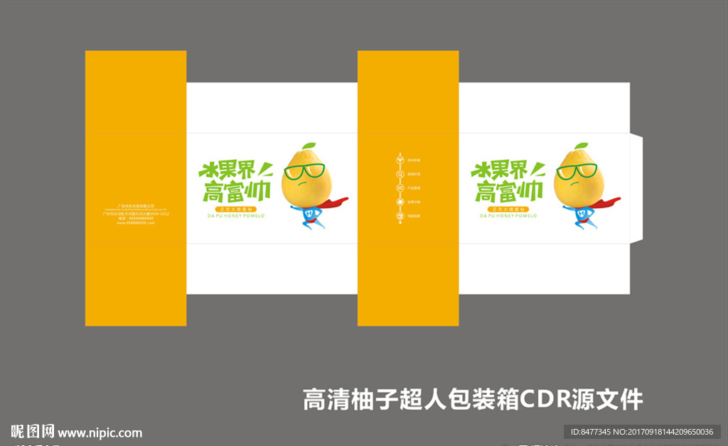 柚子包装礼盒01