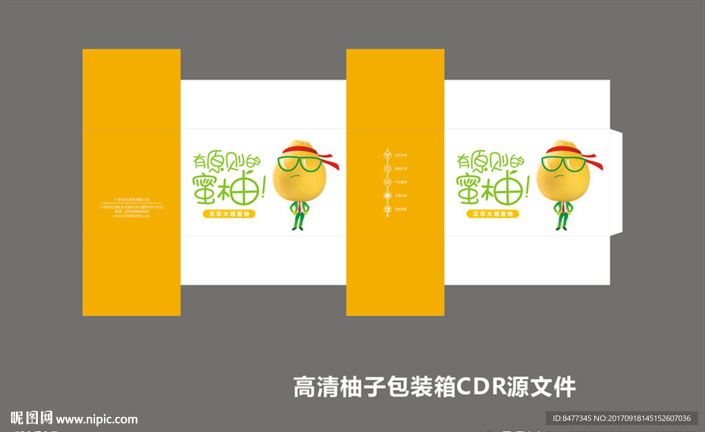 柚子包装设计素材