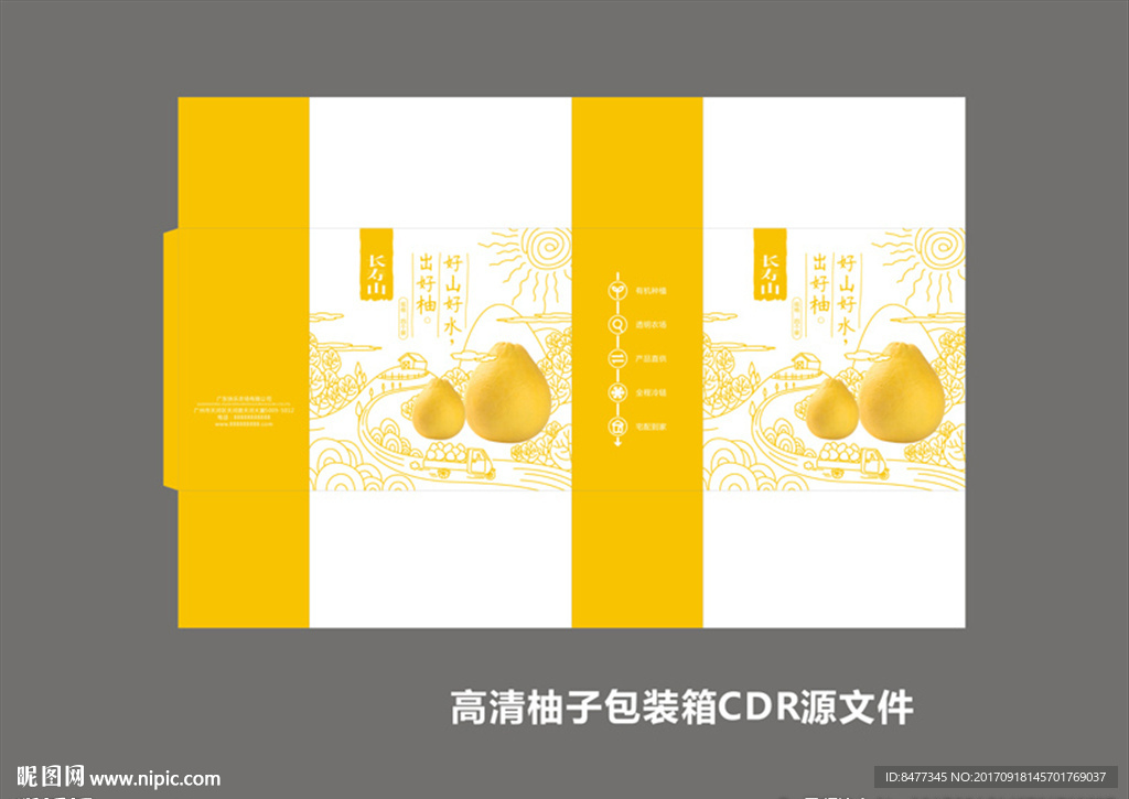 柚子礼盒设计素材