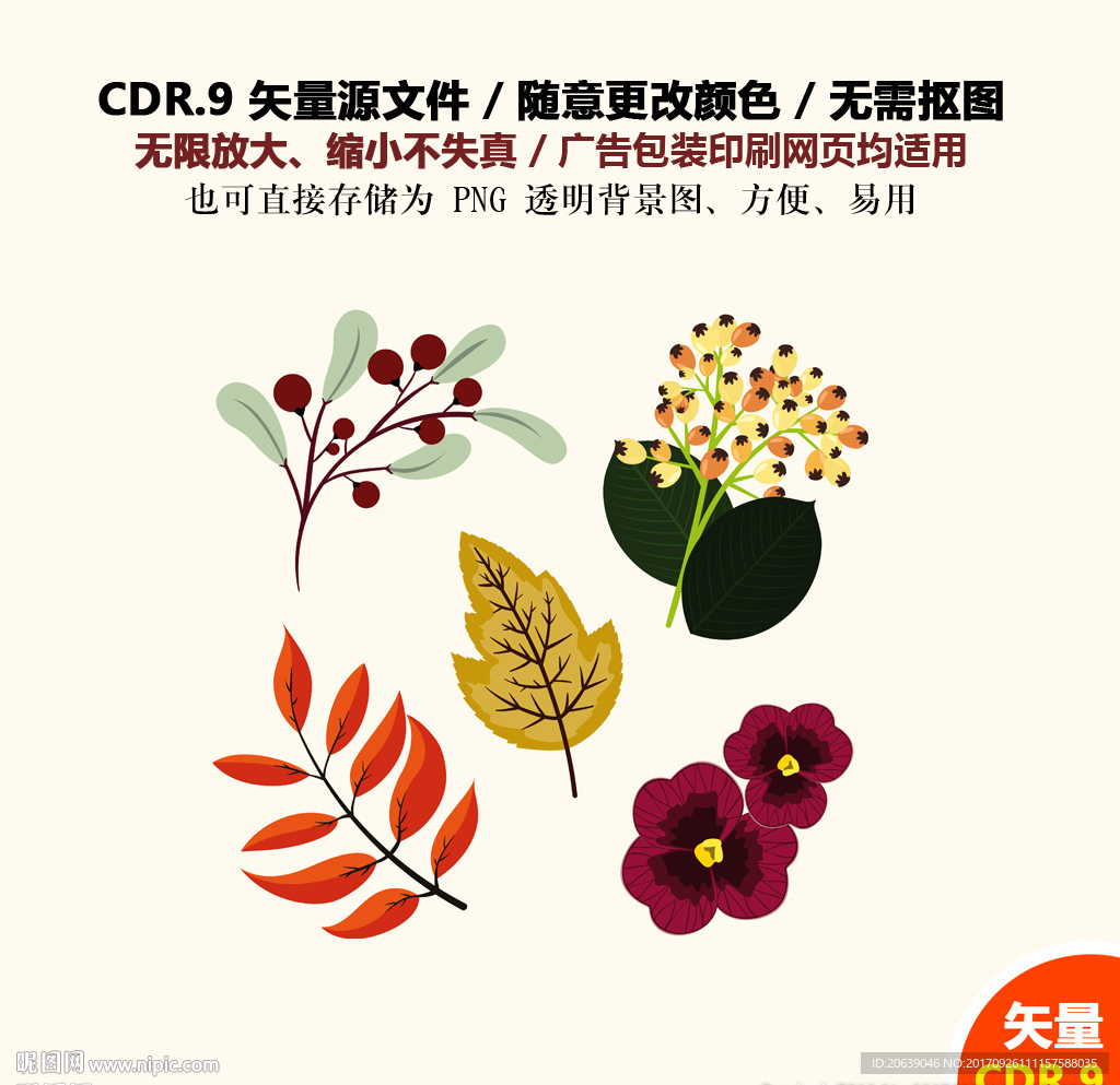 彩色卡通树叶果子矢量图