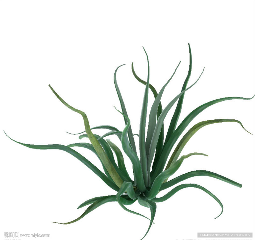 路边绿色植物模型