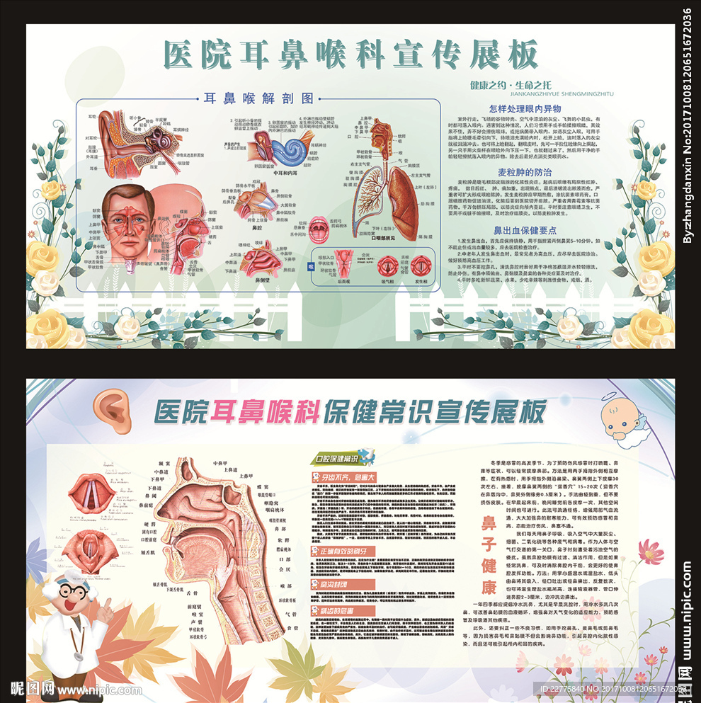 耳鼻喉科展板 医院展板