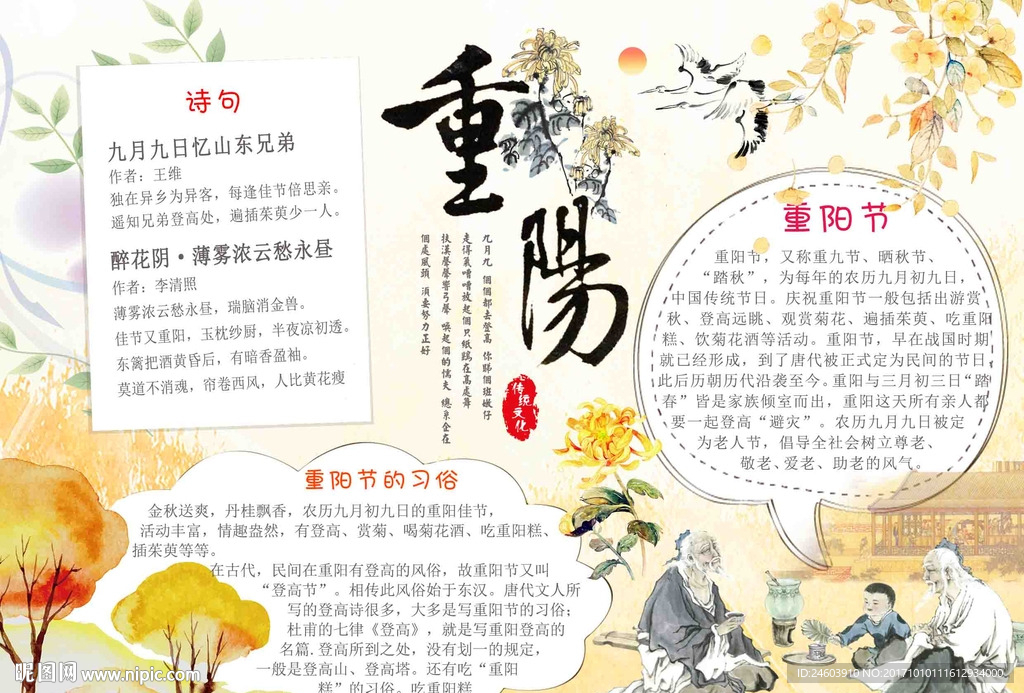 九月初九重阳节赏菊手抄报小报