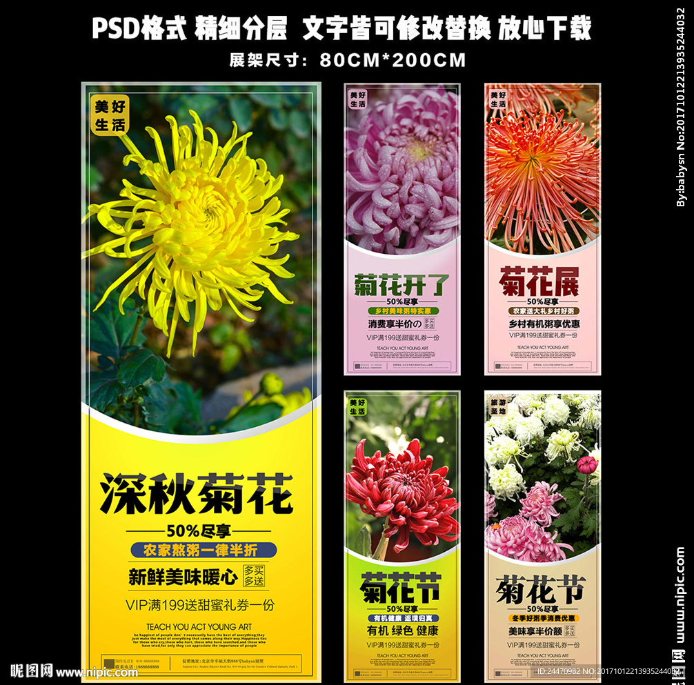 深秋菊花展览展架易拉宝设计