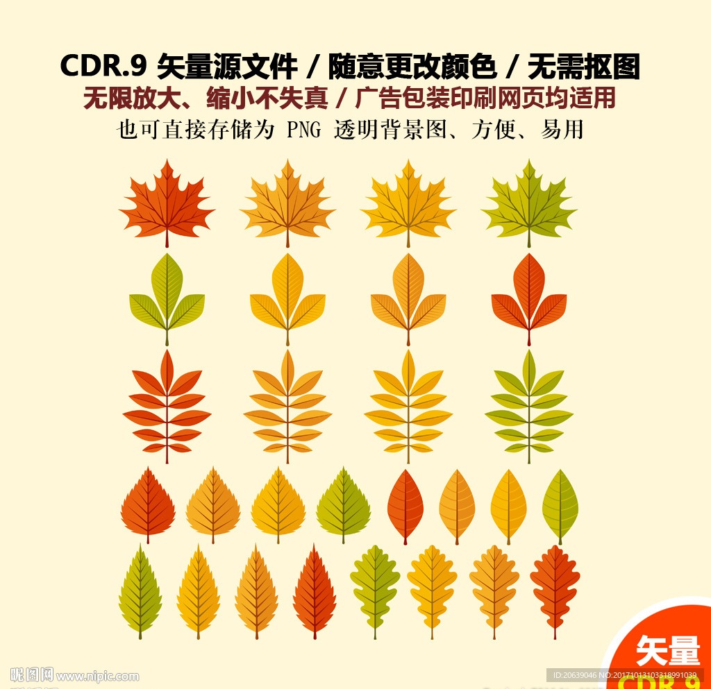 手绘金秋树叶枫叶林矢量图