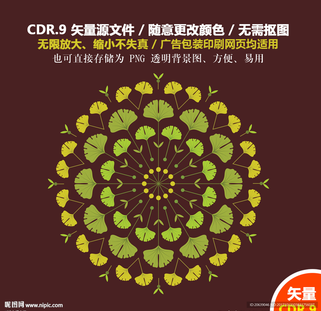 精美手绘银杏花环纹饰矢量图